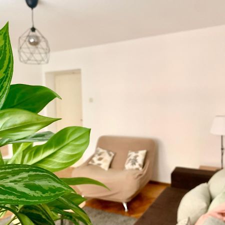 Star apartment 2 Belgrado Exterior foto